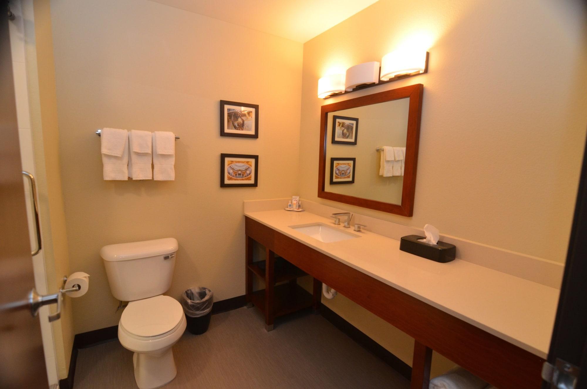 Comfort Inn & Suites West Des Moines Buitenkant foto